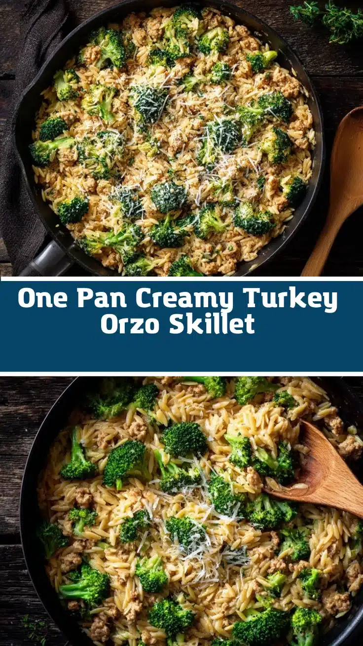 ground turkey orzo skillet recipe