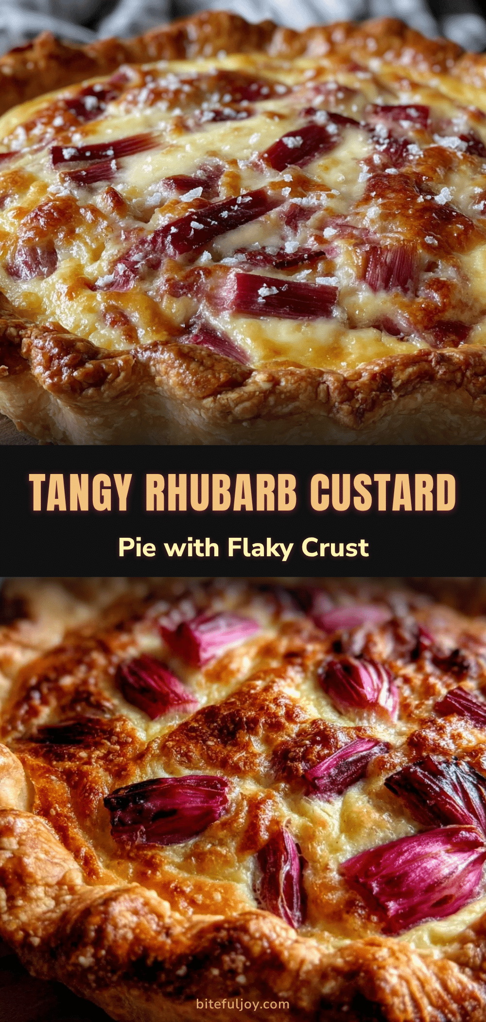 classic rhubarb custard pie recipe