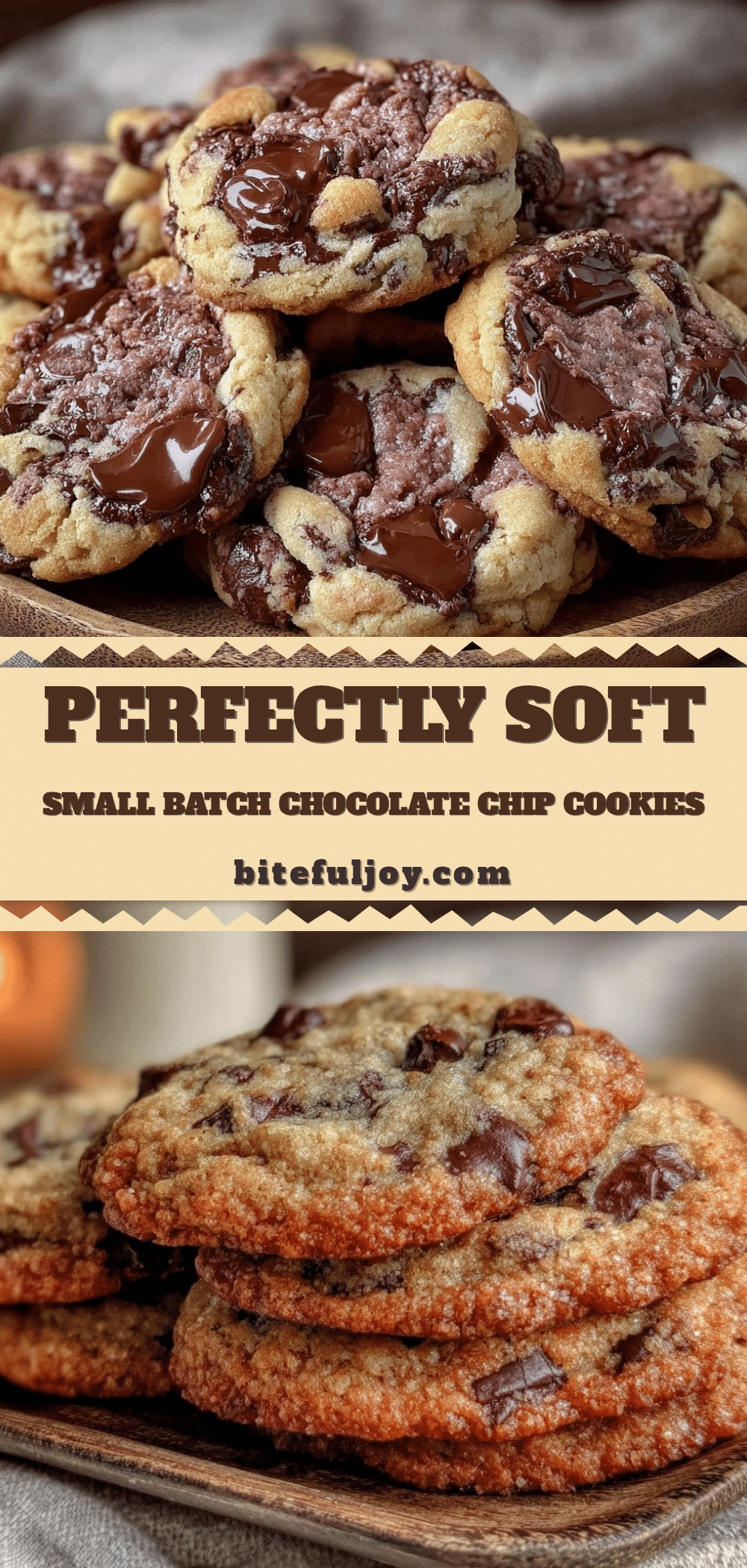 small batch chocolate chip cookies recipe