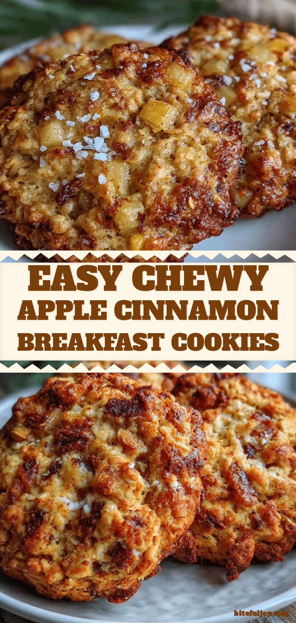 easy chewy apple cinnamon breakfast cookies recipe