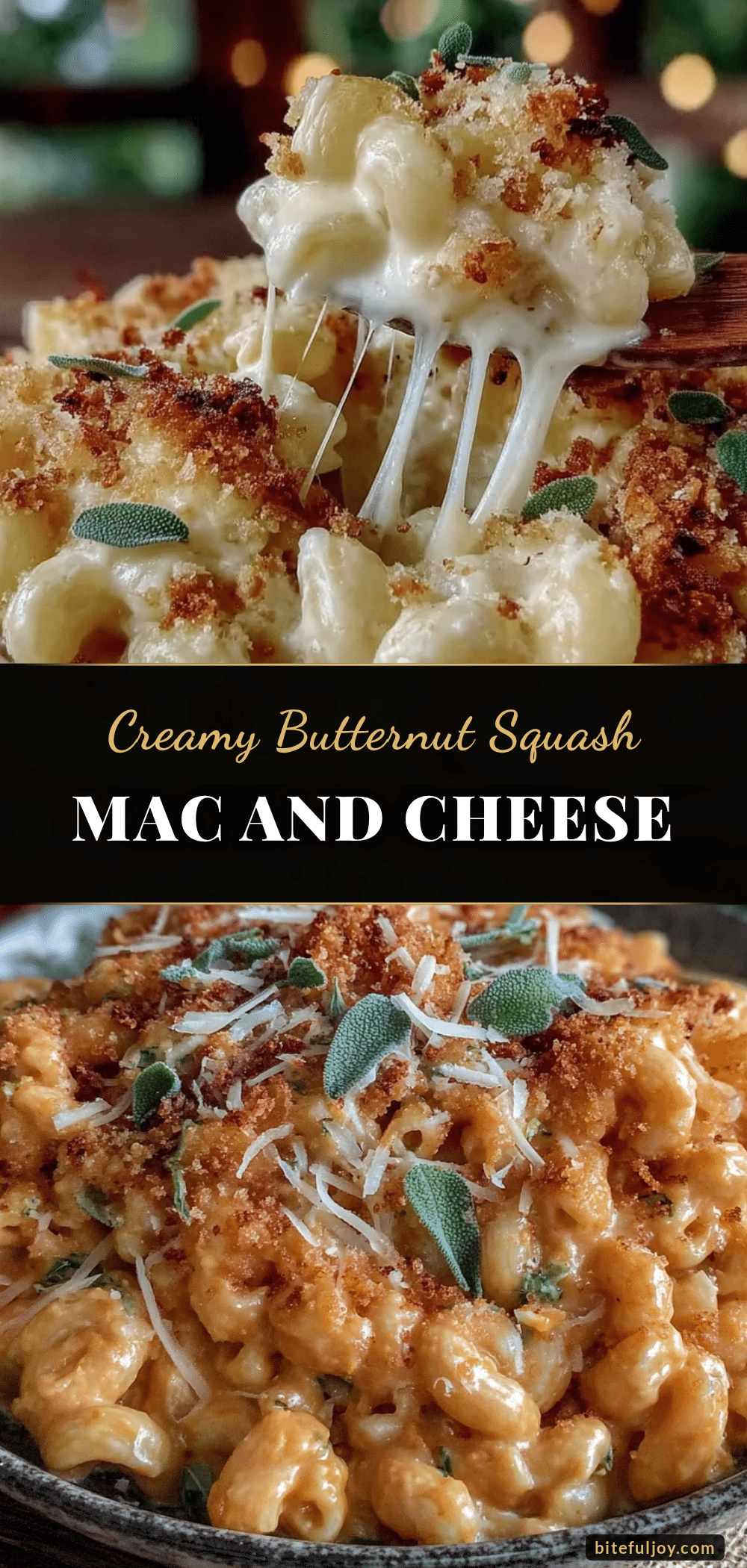 creamy butternut squash mac and cheese recipe