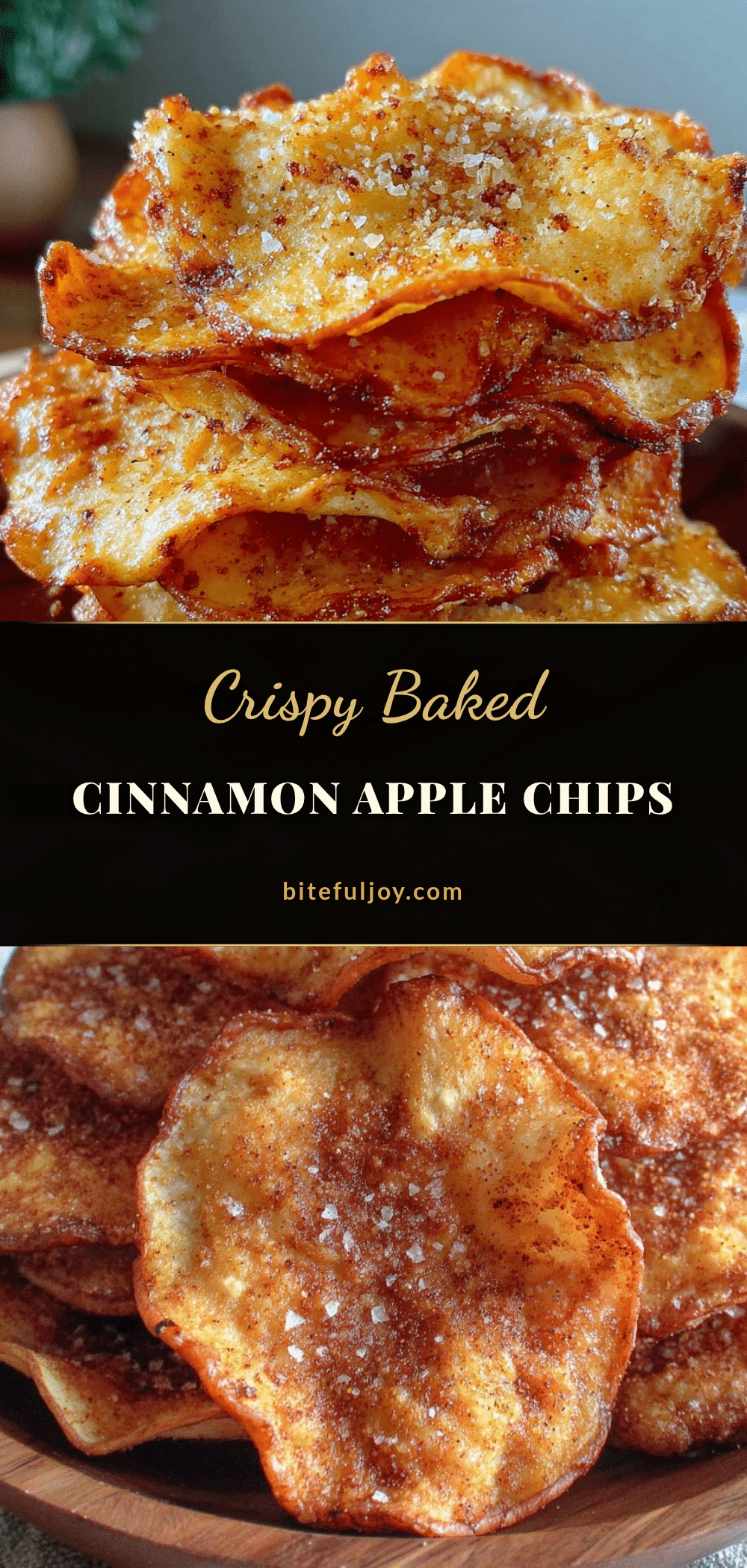 crispy cinnamon apple chips recipe