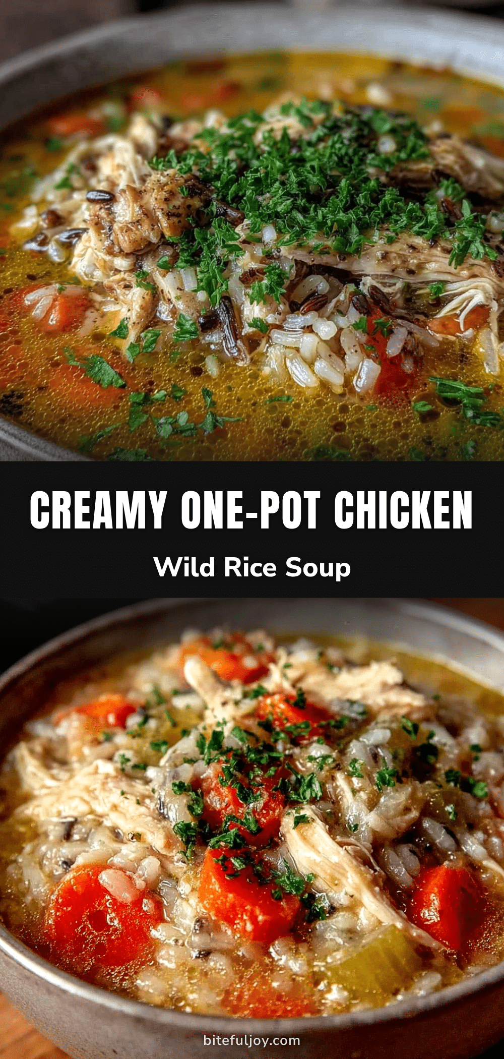 one-pot chicken and wild rice soup recipe